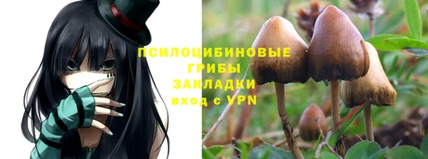 кокс Заводоуковск