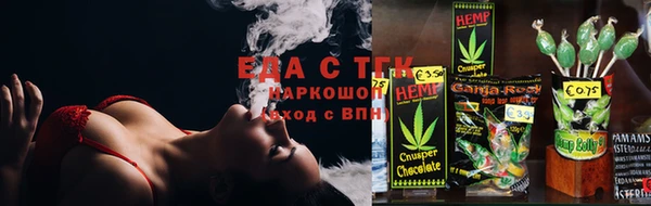 гидра Елизово