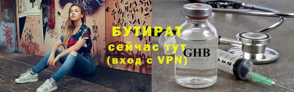 гидра Елизово