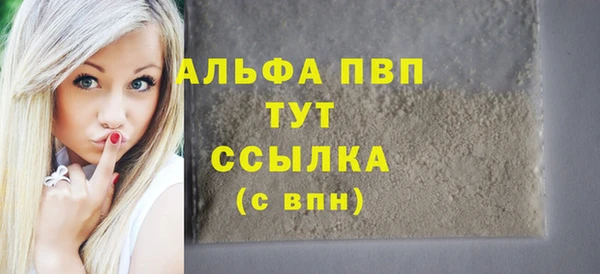 гидра Елизово